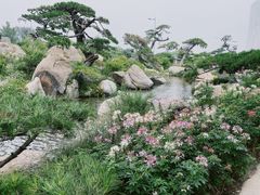 -罗红摄影艺术馆