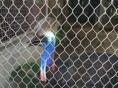 -石家庄市动物园