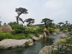 -罗红摄影艺术馆