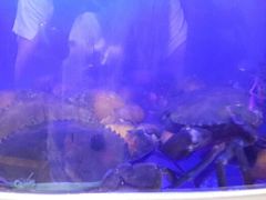 -七欣天香辣蟹火锅(无锡金太湖国际城店)