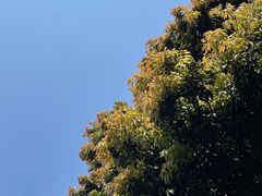 -天鹿湖森林公园