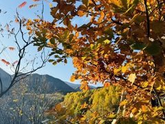 -玉渡山自然风景区