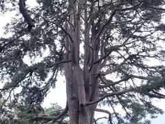 -终南山南五台景区