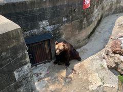 -赭山公园