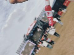 -春花秋色城市公园