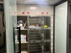 -半岛宠物医院24小时(科华中路店)