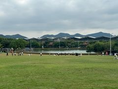 -紫马岭公园