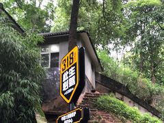 -中国大熊猫保护研究中心雅安碧峰峡基地