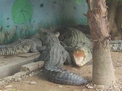 -泉州海丝野生动物世界