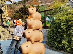 -大连森林动物园