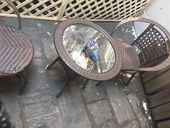 -燕庭·纯燕窝·甜品下午茶(南京西路店)