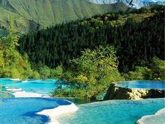 -张大师鸭爪爪特色干锅(钱塘江路店)