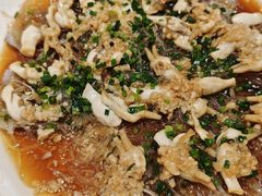 -老绍兴养和饭店(向阳不夜城店)