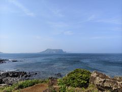 -涉地可支