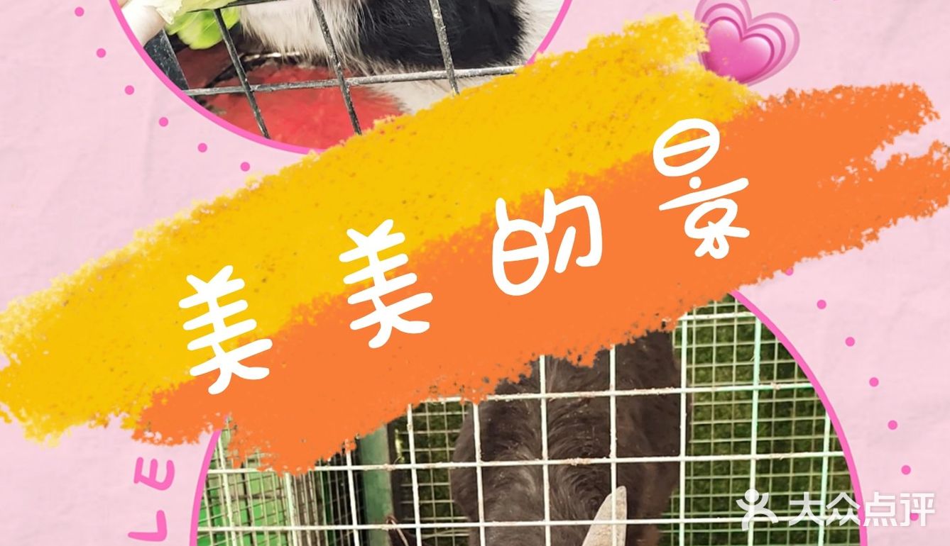 滑索道你们敢来挑战吗？