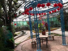 -石家庄市植物园