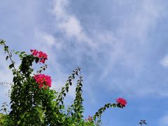 -冬宝海鲜食府(桂城店)