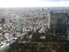 -东京都厅舍