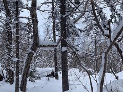 -雪谷