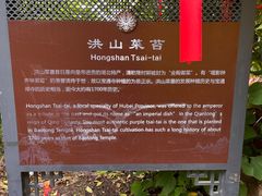 -宝通禅寺