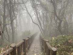 -秦岭终南山世界地质公园翠华山景区