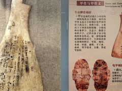 -长沙简牍博物馆