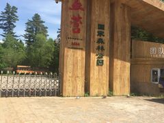 -五营红松林海景区