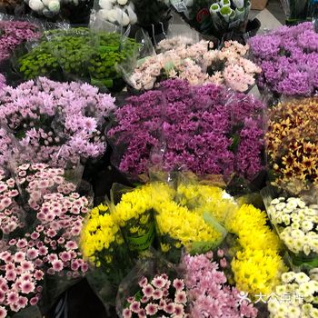 假期倒计时，逛逛花市，心情简直太棒啦 位置在来广营东