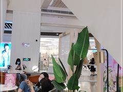 -奈雪的茶(市百一店)