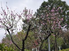 -飞凤山奥体公园