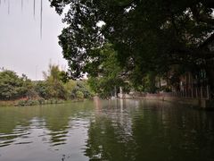 -小洲村