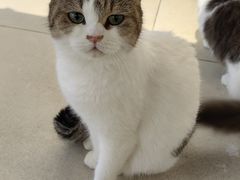 -怪兽屋·羊驼·猫咖·狗咖(俊华广场店)