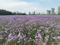 -渤公岛生态公园