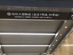 -大望路(地铁站)