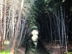 -同里国家湿地公园