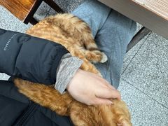 -国顺胡辣汤(新兴大街店)