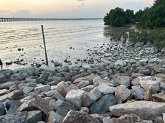 -宝安西湾红树林湿地公园