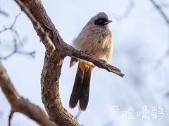 -陶然亭公园
