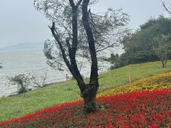 -东钱湖旅游度假区