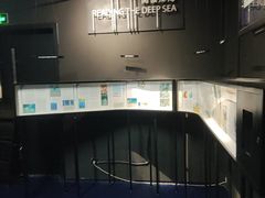 -同济大学四平路校区深海探索馆