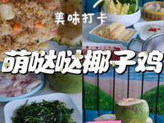 -椰梦长廊