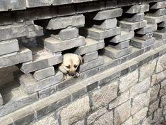 -北京凤凰岭