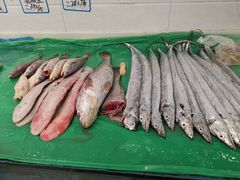 -天桥饭店·特色海鲜(金山嘴渔村店)