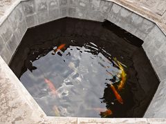 -西安市广仁寺