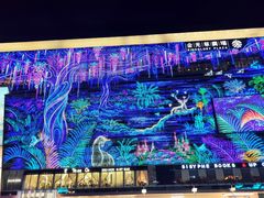 -金光华广场
