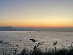 -小麦岛公园