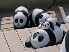 -星光大道