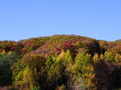 -九鼎铁刹山风景区