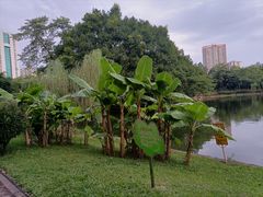 -晓港公园