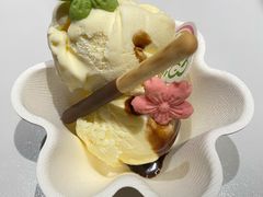 -阿露佳·舌尖上的安吉菜